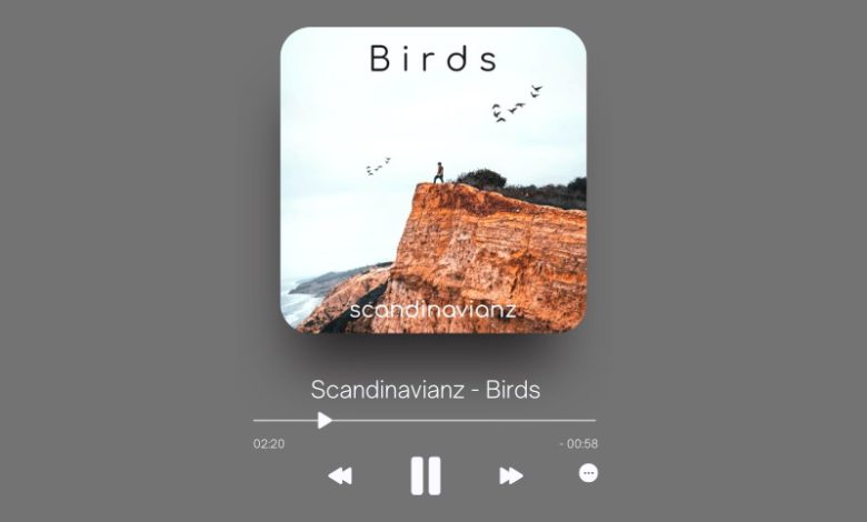 Scandinavianz - Birds