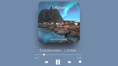Scandinavianz - Lofoten