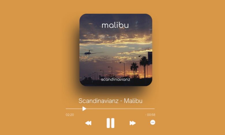Scandinavianz - Malibu