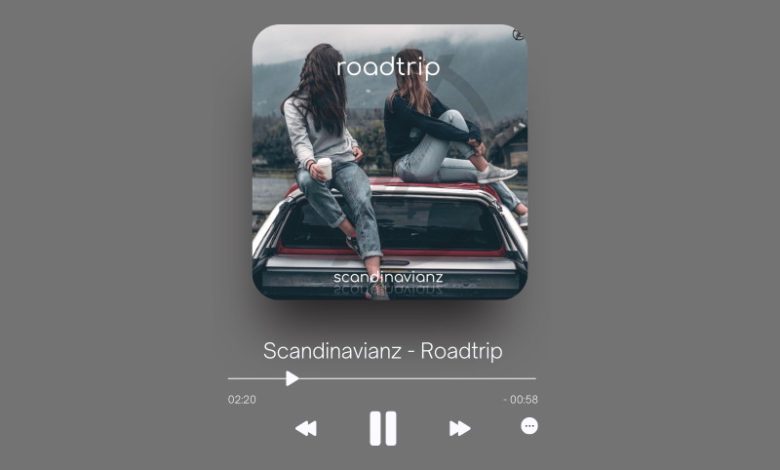 Scandinavianz - Roadtrip