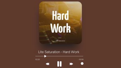 Lite Saturation - Hard Work