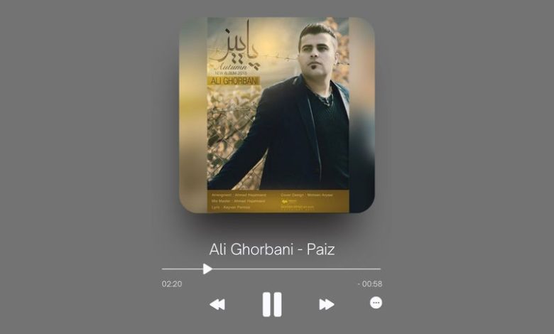 Ali Ghorbani - Paiz