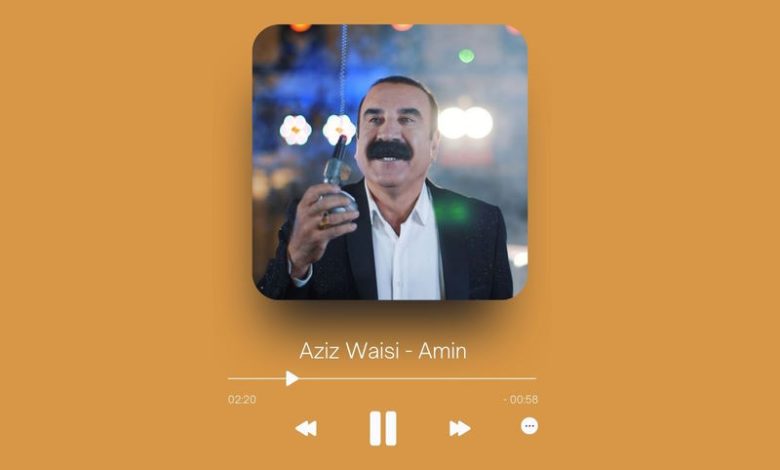 Aziz Waisi - Amin