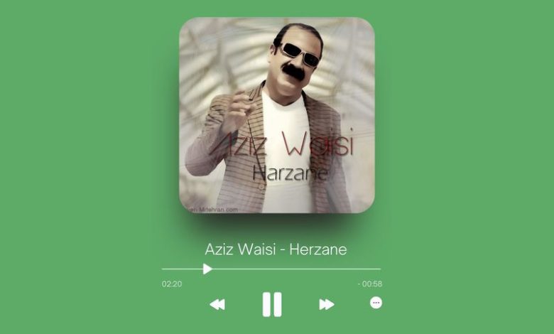 Aziz Waisi - Herzane