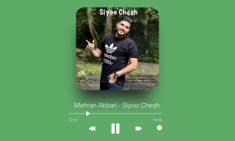 Mehran Akbari - Siyoo Chesh
