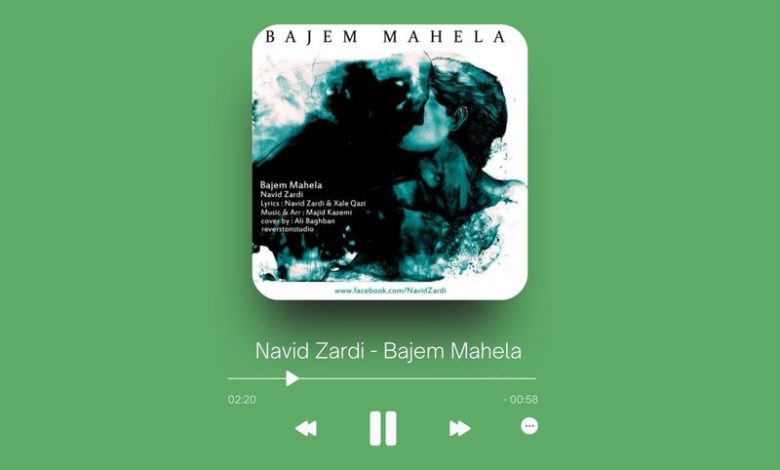 Navid Zardi - Bajem Mahela