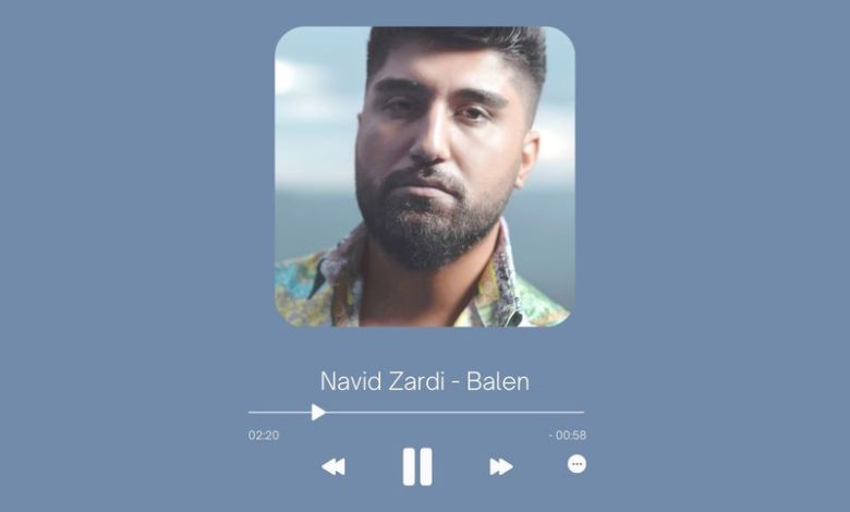 Navid Zardi - Balen