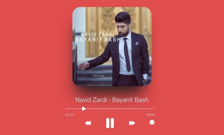 Navid Zardi - Bayanit Bash