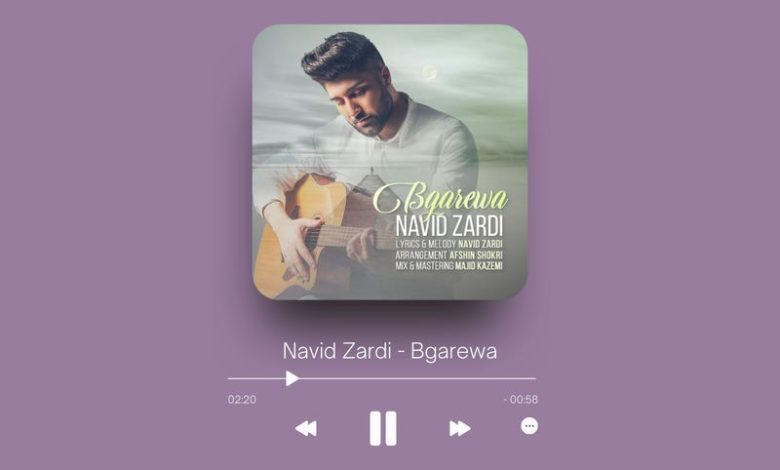 Navid Zardi - Bgarewa