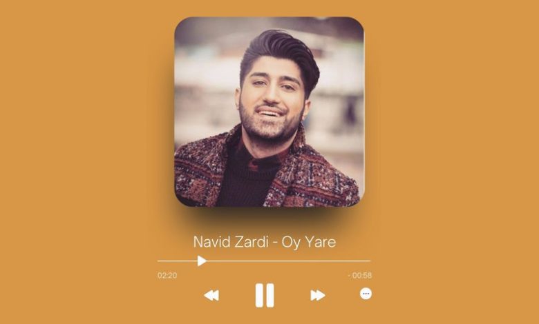 Navid Zardi - Oy Yare