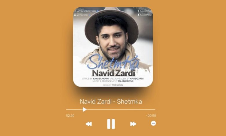 Navid Zardi - Shetmka