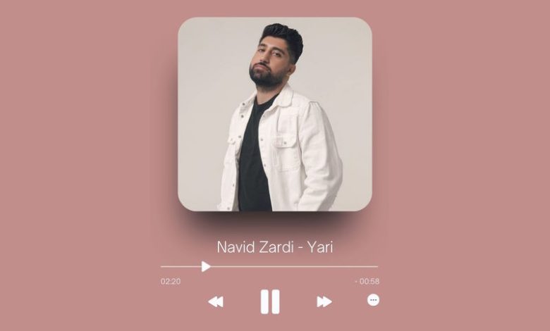 Navid Zardi - Yari