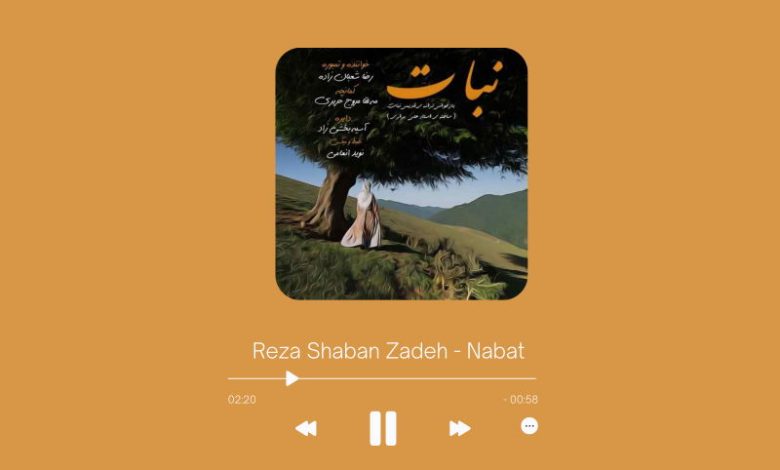 Reza Shaban Zadeh - Nabat