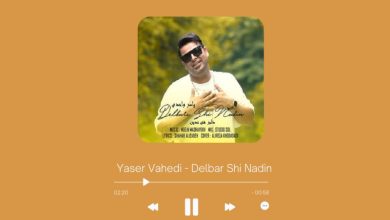 Yaser Vahedi - Delbar Shi Nadin