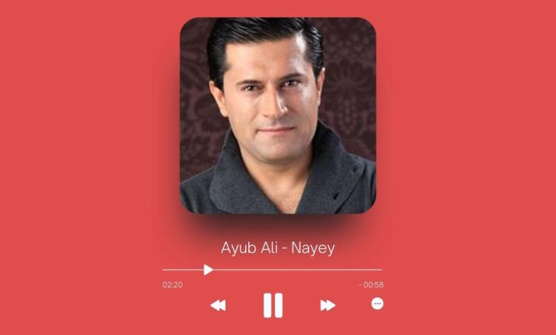 Ayub Ali - Nayey