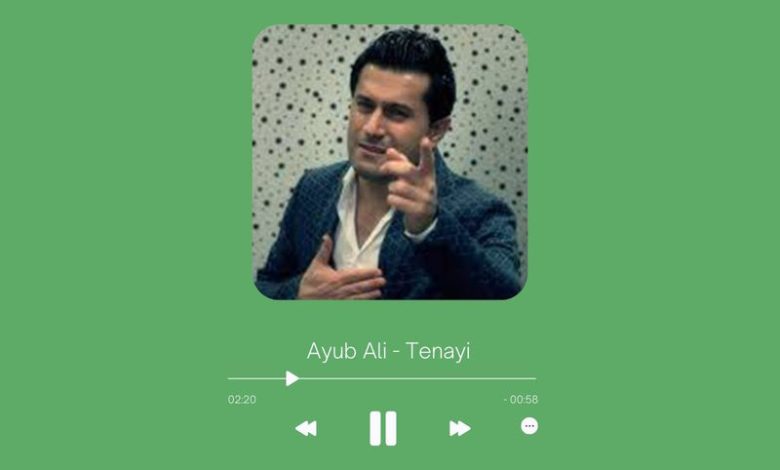 Ayub Ali - Tenayi
