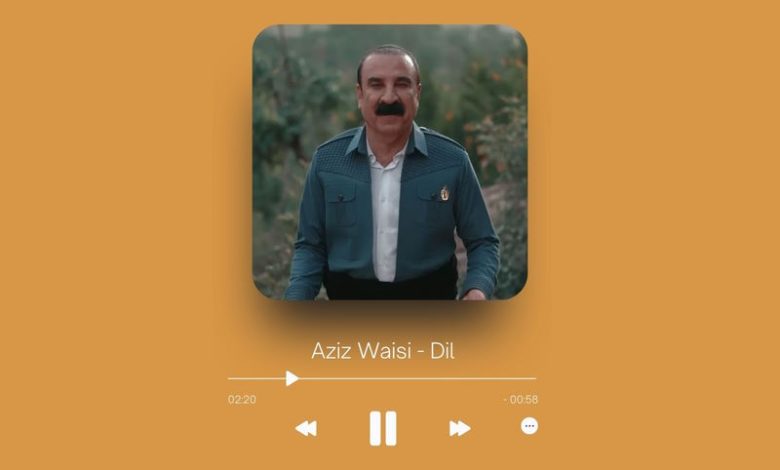 Aziz Waisi - Dil