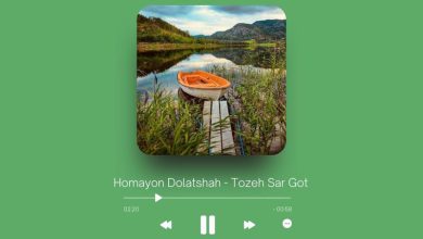 Homayon Dolatshah - Tozeh Sar Got