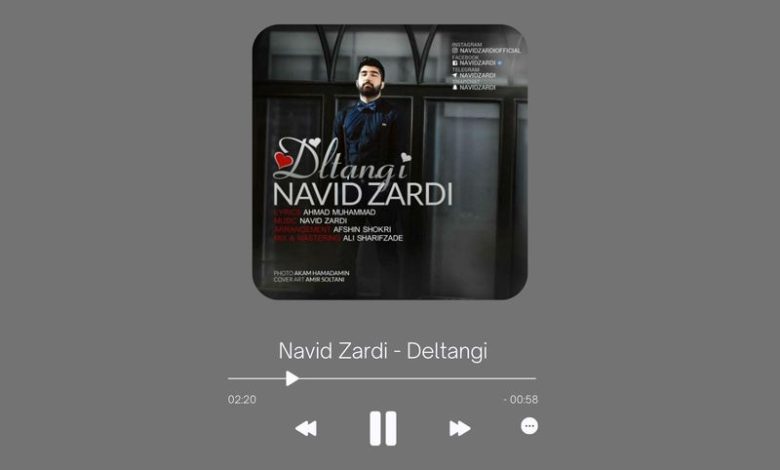 Navid Zardi - Deltangi