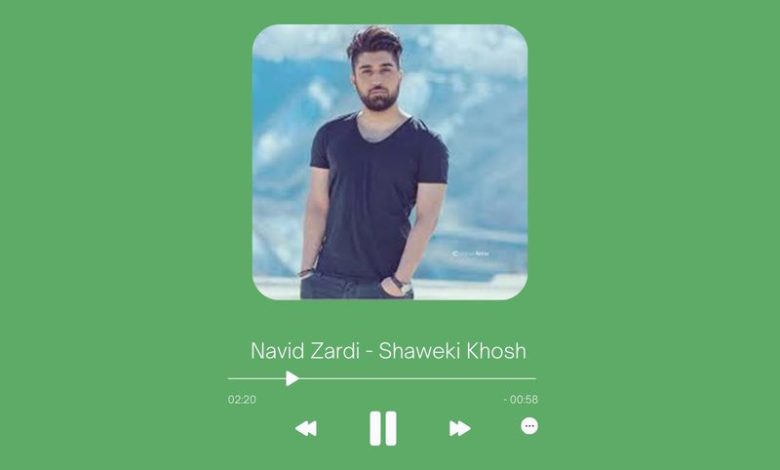 Navid Zardi - Shaweki Khosh