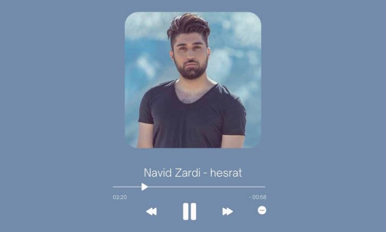 Navid Zardi - Hesrat