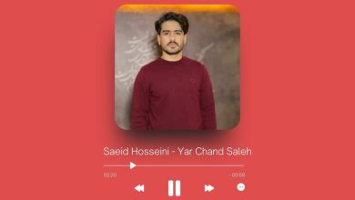 Saeid Hosseini - Yar Chand Saleh