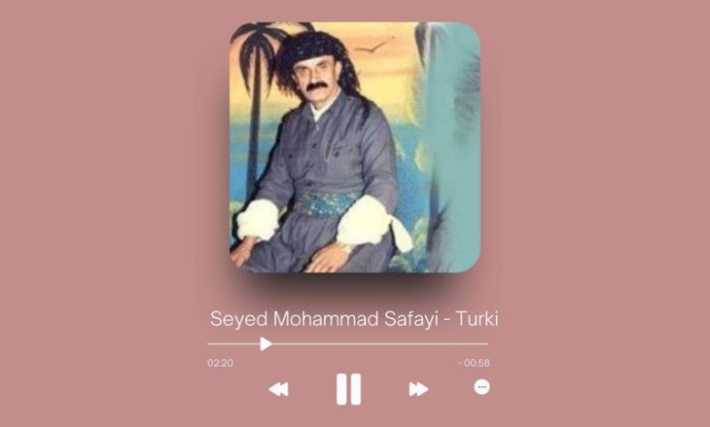 Seyed Mohammad Safayi - Turki