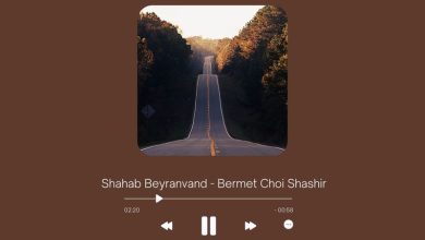 Shahab Beyranvand - Bermet Choi Shashir