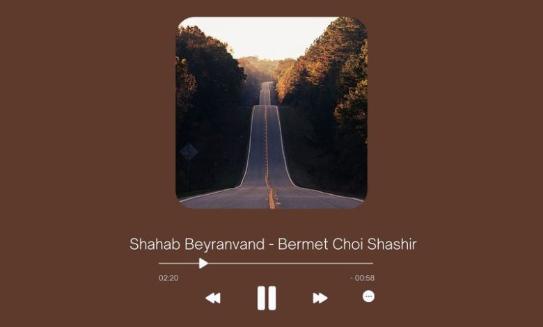 Shahab Beyranvand - Bermet Choi Shashir