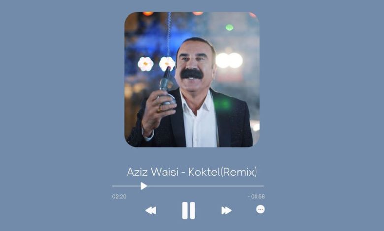 Aziz Waisi - Koktel (Remix)