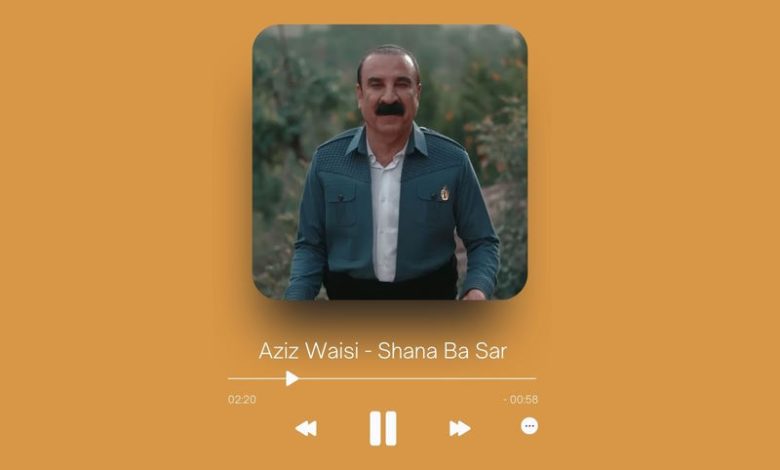 Aziz Waisi - Shana Ba Sar