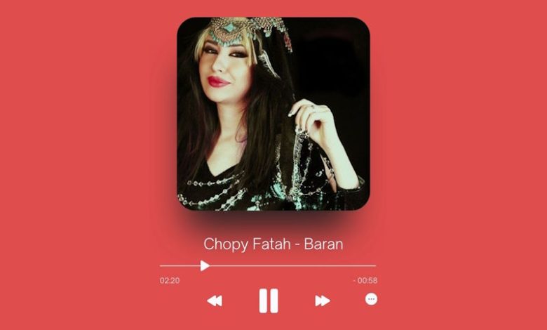 Chopy Fatah - Baran