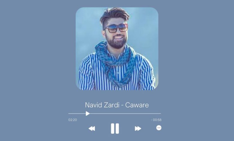 Navid Zardi - Caware