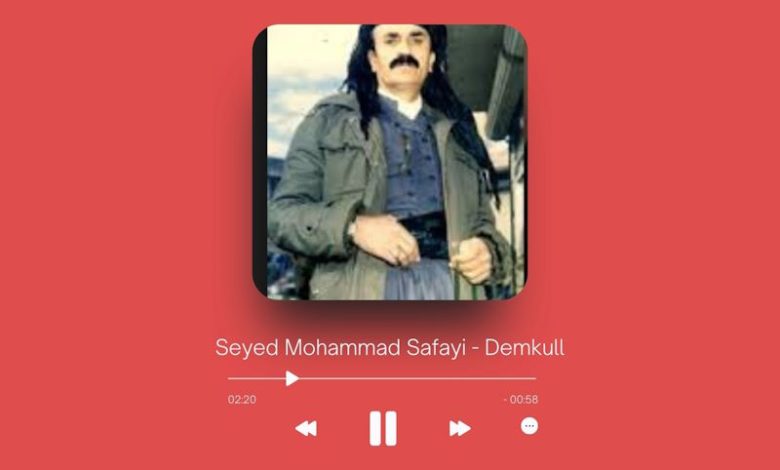 Seyed Mohammad Safayi - Demkull