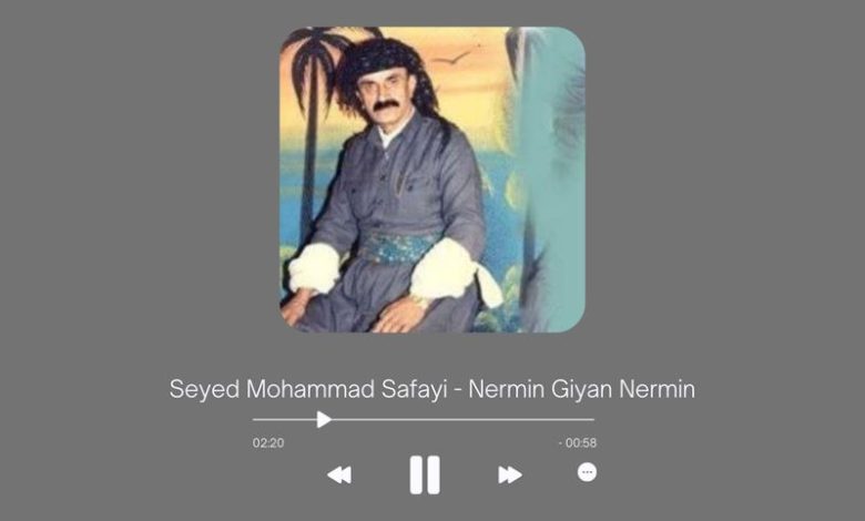 Seyed Mohammad Safayi - Nermin Giyan Nermin