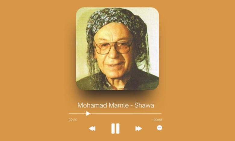 Mohamad Mamle - Shawa